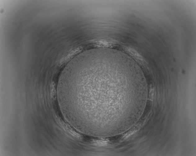 X0000083630318200702201349