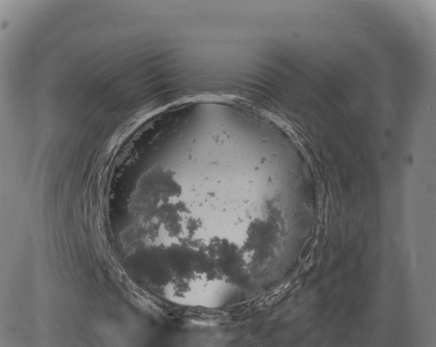X0000083630337200702201348