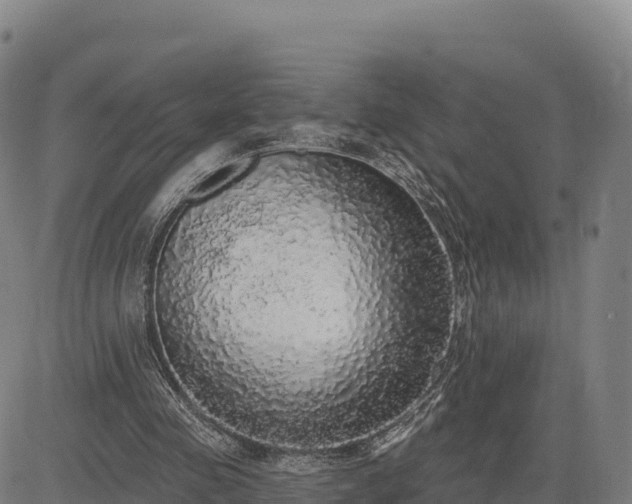 X0000083630341200702201348