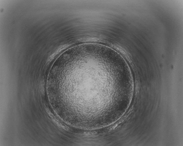 X0000083630345200702201348