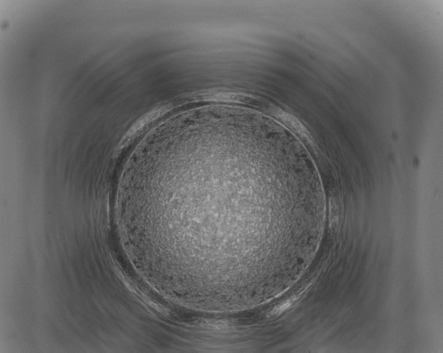 X0000083630349200702201348