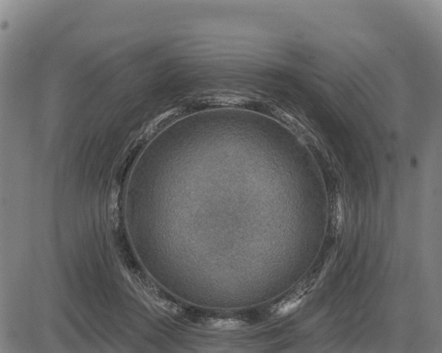 X0000083630360200702201348