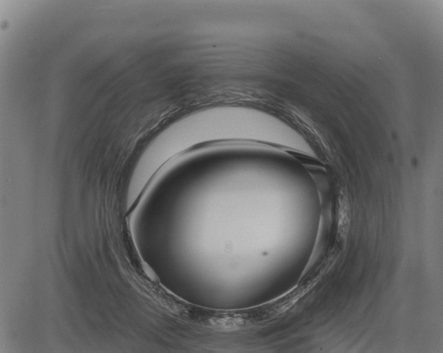 X0000083630362200702201348