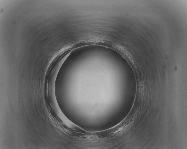 X0000083630395200702201347