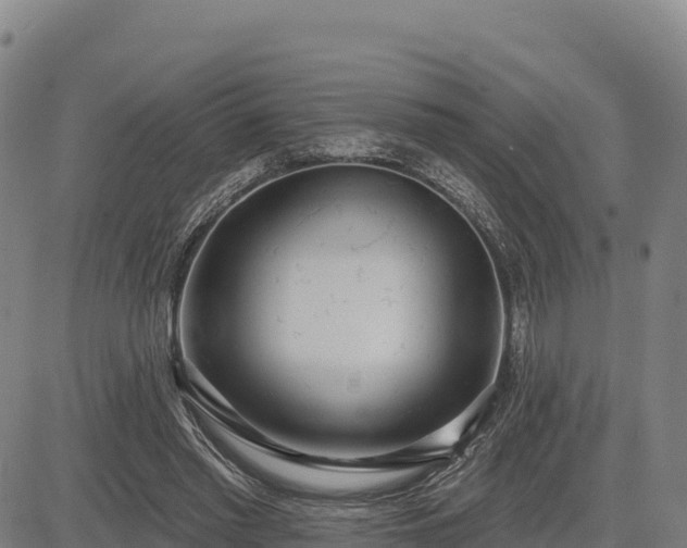 X0000083630397200702201347