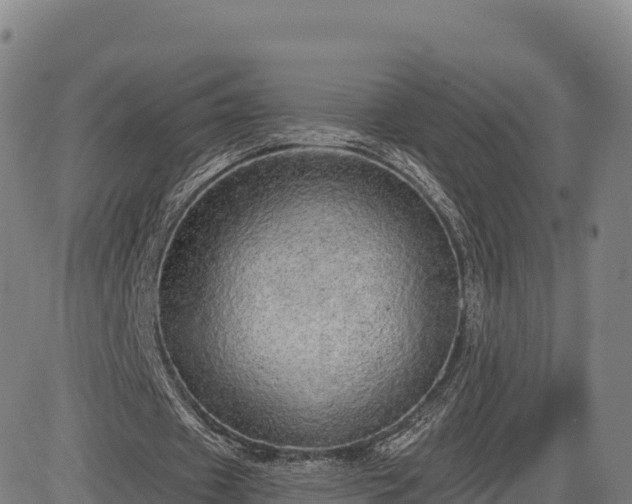 X0000083630433200702201346
