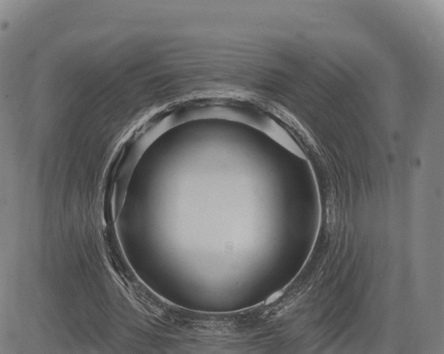 X0000083630436200702201346