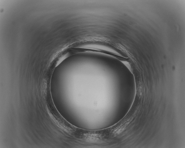 X0000083630448200702201346