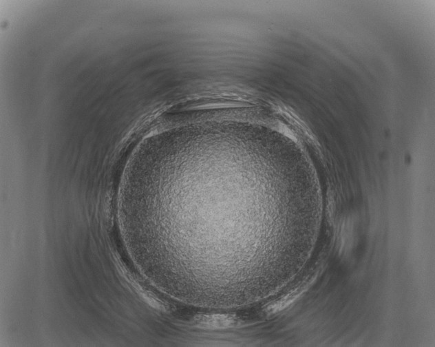 X0000083630449200702201346