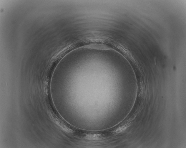 X0000083630450200702201346