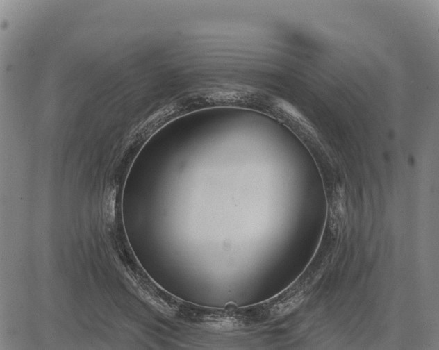 X0000083630454200702201346