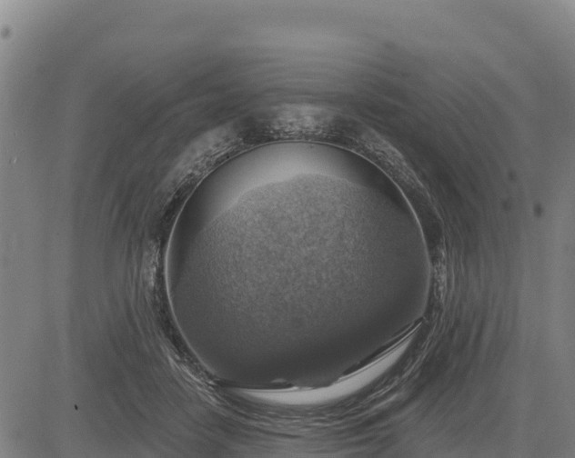 X0000083630458200702201346