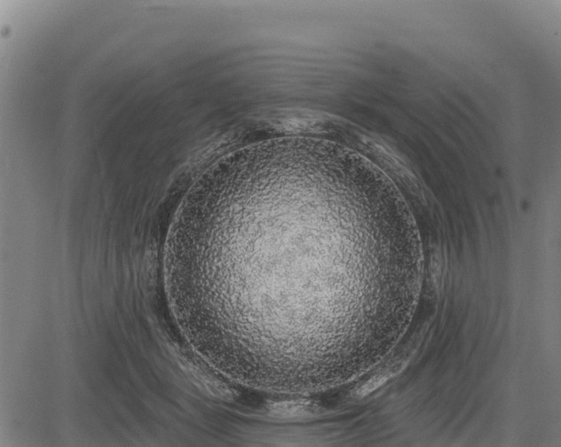 X0000083630461200702201346