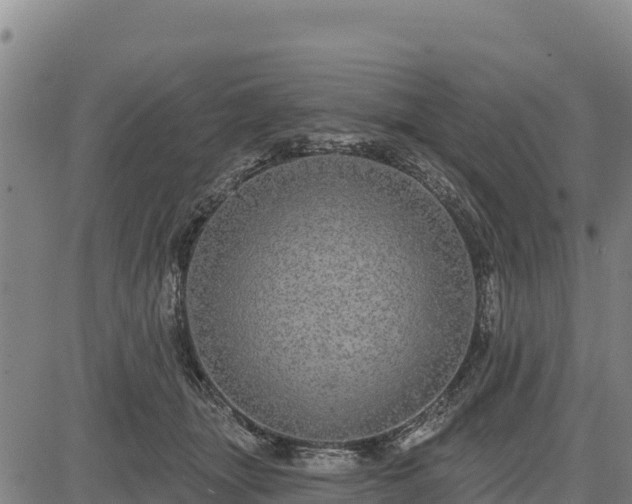 X0000083630463200702201346