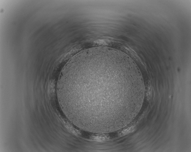 X0000083630466200702201346