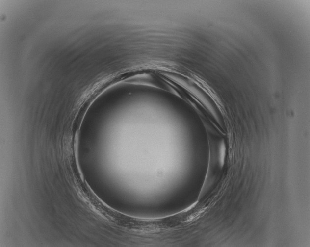 X0000083630485200702201346