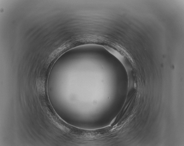 X0000083630489200702201346