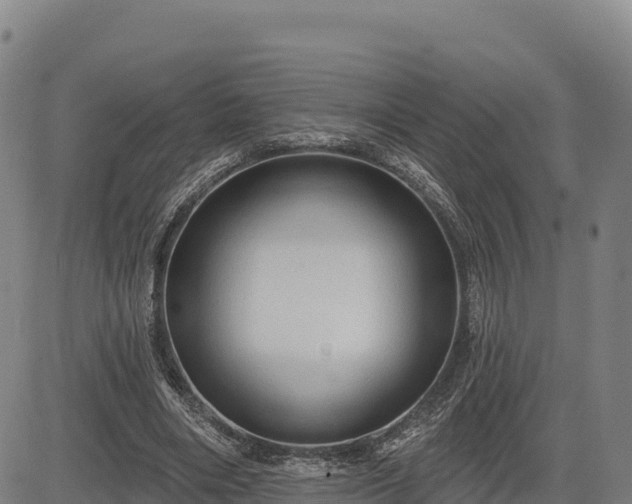 X0000083630490200702201346