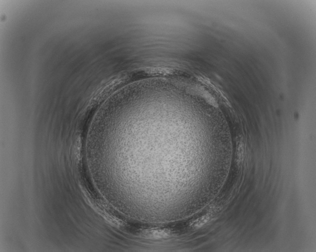 X0000083630498200702201346