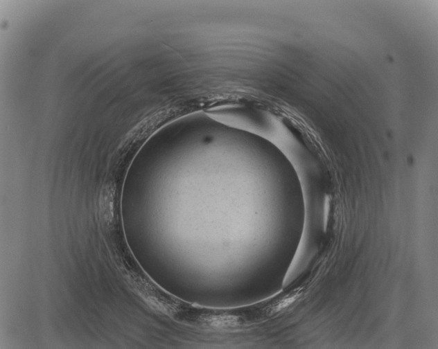 X0000083630501200702201346