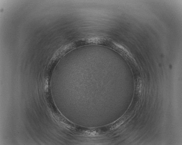 X0000083630502200702201346