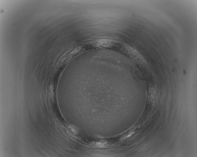 X0000083630506200702201345
