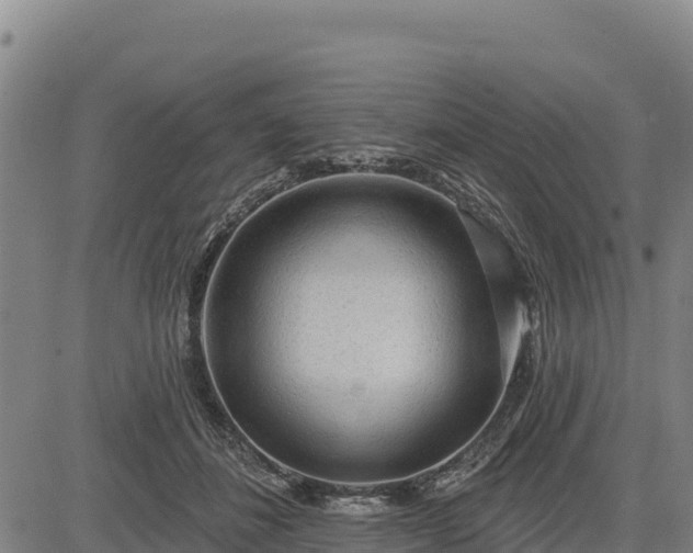 X0000083630508200702201345