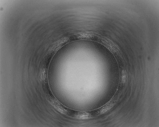 X0000083630514200702201345