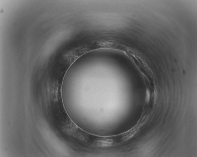 X0000083630525200702201345