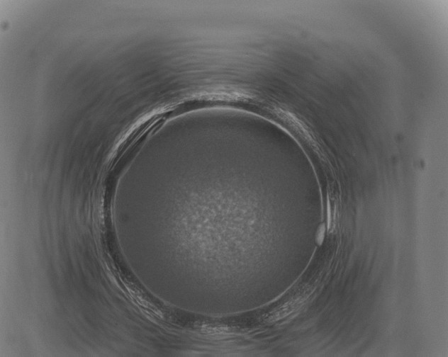 X0000083630531200702201344