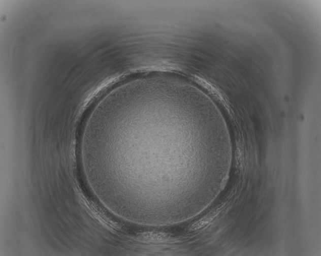 X0000083630535200702201344