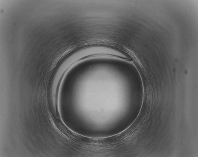 X0000083630538200702201344