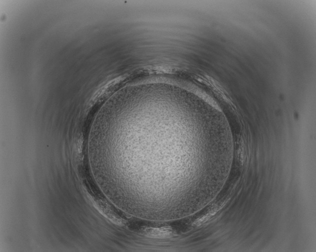 X0000083630548200702201345