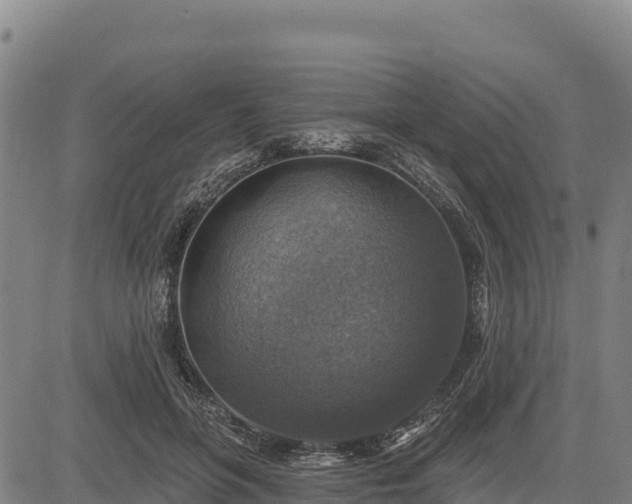 X0000083630551200702201345