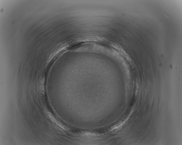 X0000083630585200702201344