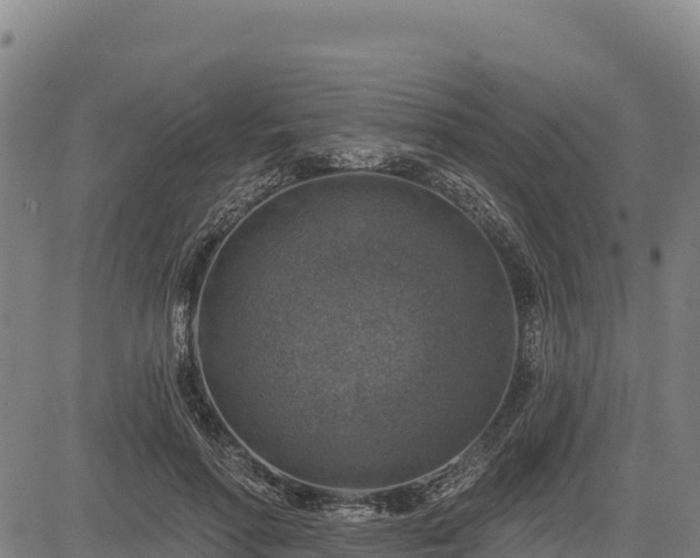 X0000083630598200702201344