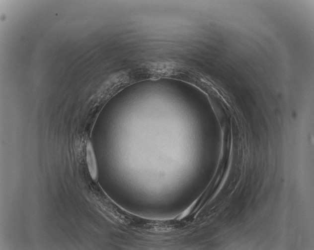 X0000083630601200702201344