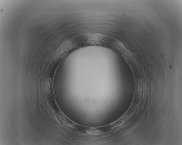 X0000083630603200702201344