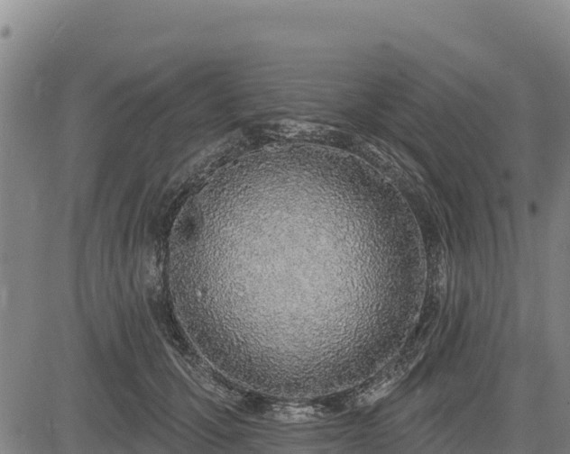 X0000083630607200702201344