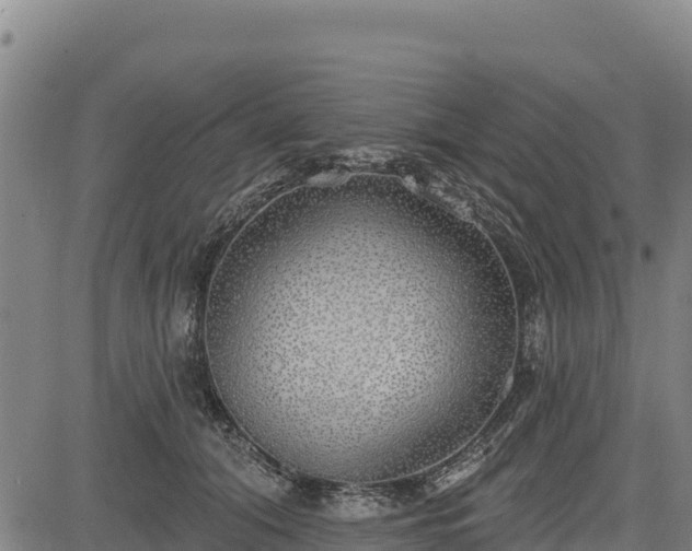 X0000083630608200702201344