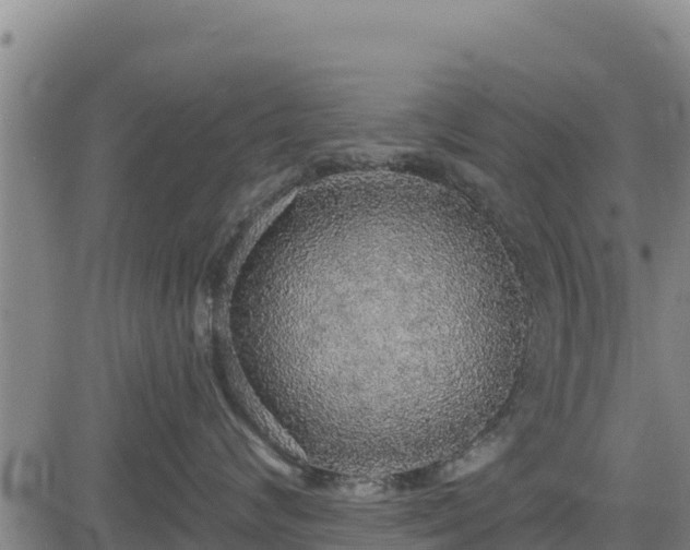 X0000083630624200702201343