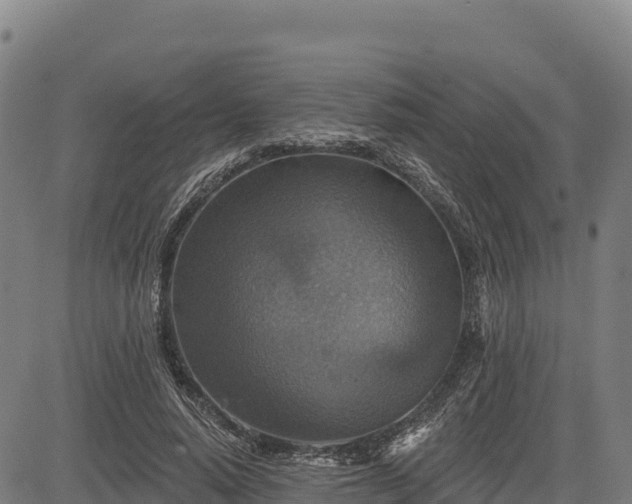 X0000083630640200702201343