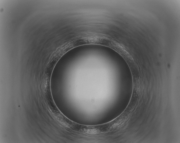 X0000083630645200702201343