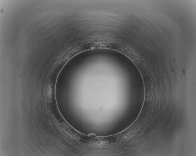 X0000083630646200702201343