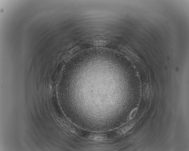 X0000083630655200702201343