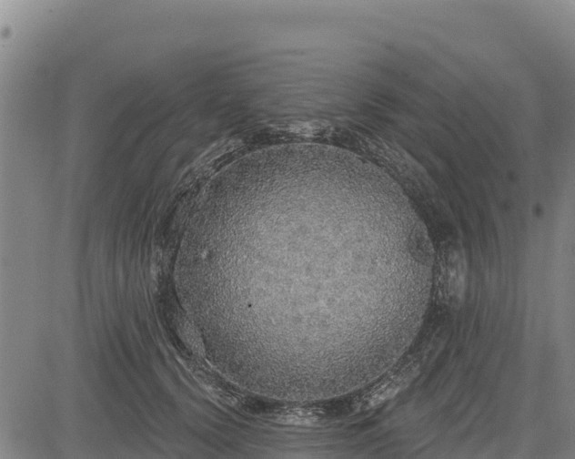 X0000083630656200702201343
