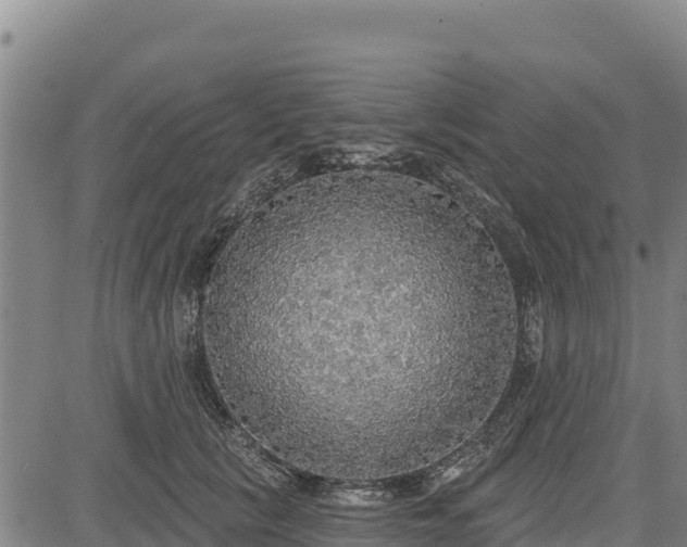 X0000083630657200702201343