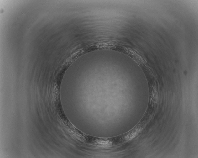 X0000083630659200702201343