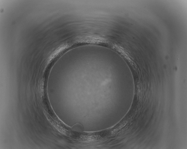 X0000083630679200702201343