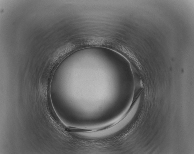 X0000083630681200702201343